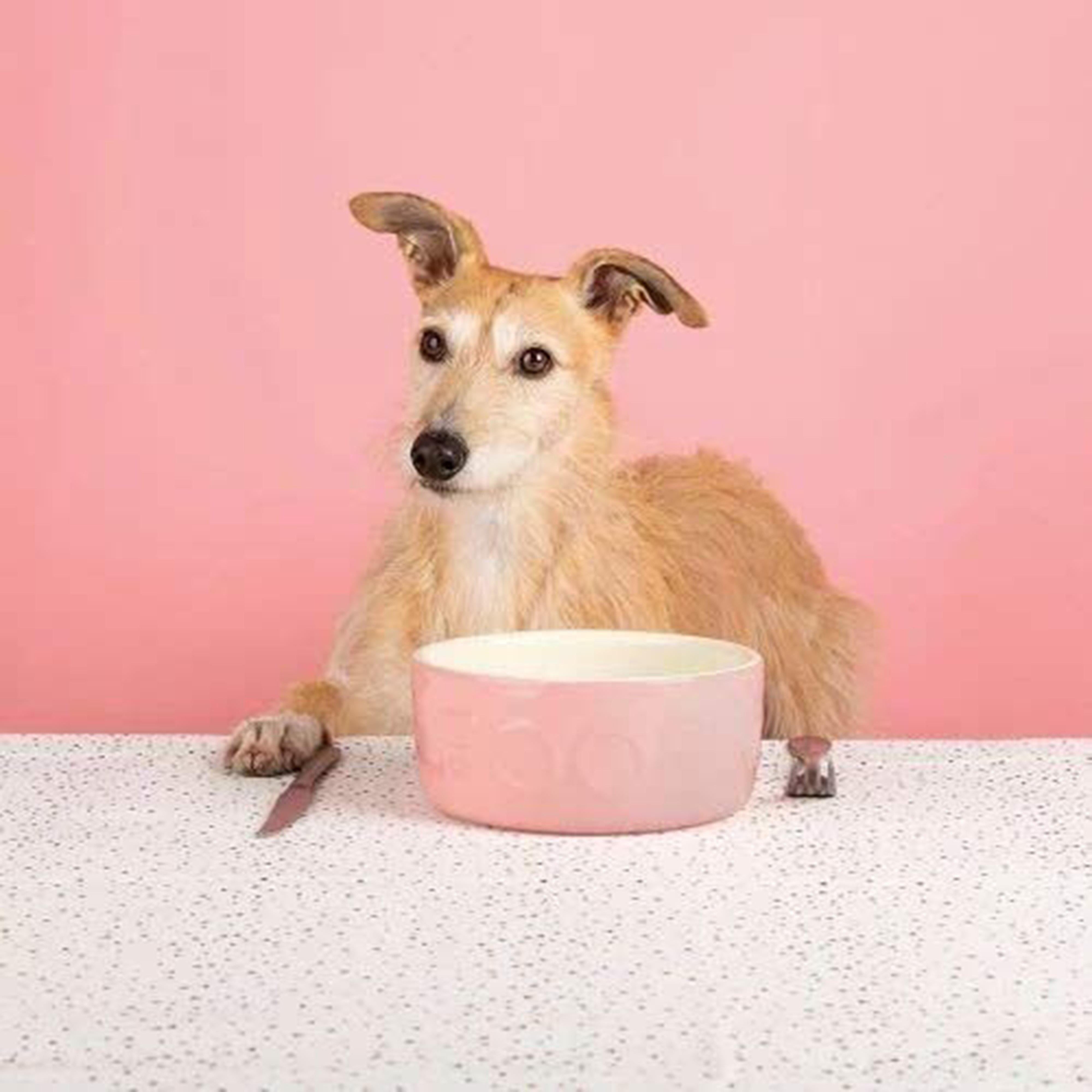 Classic Food Bowl Pink 19cm