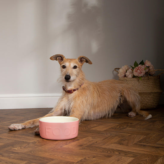Classic Food Bowl Pink 19cm