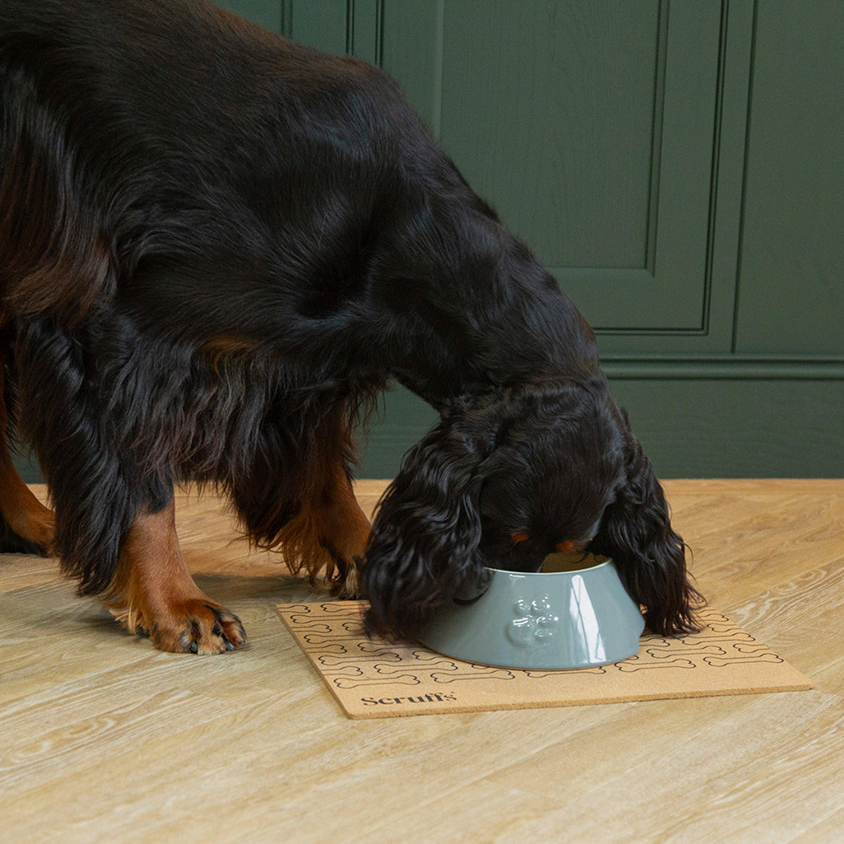 Cork Pet Placemat Bone Print