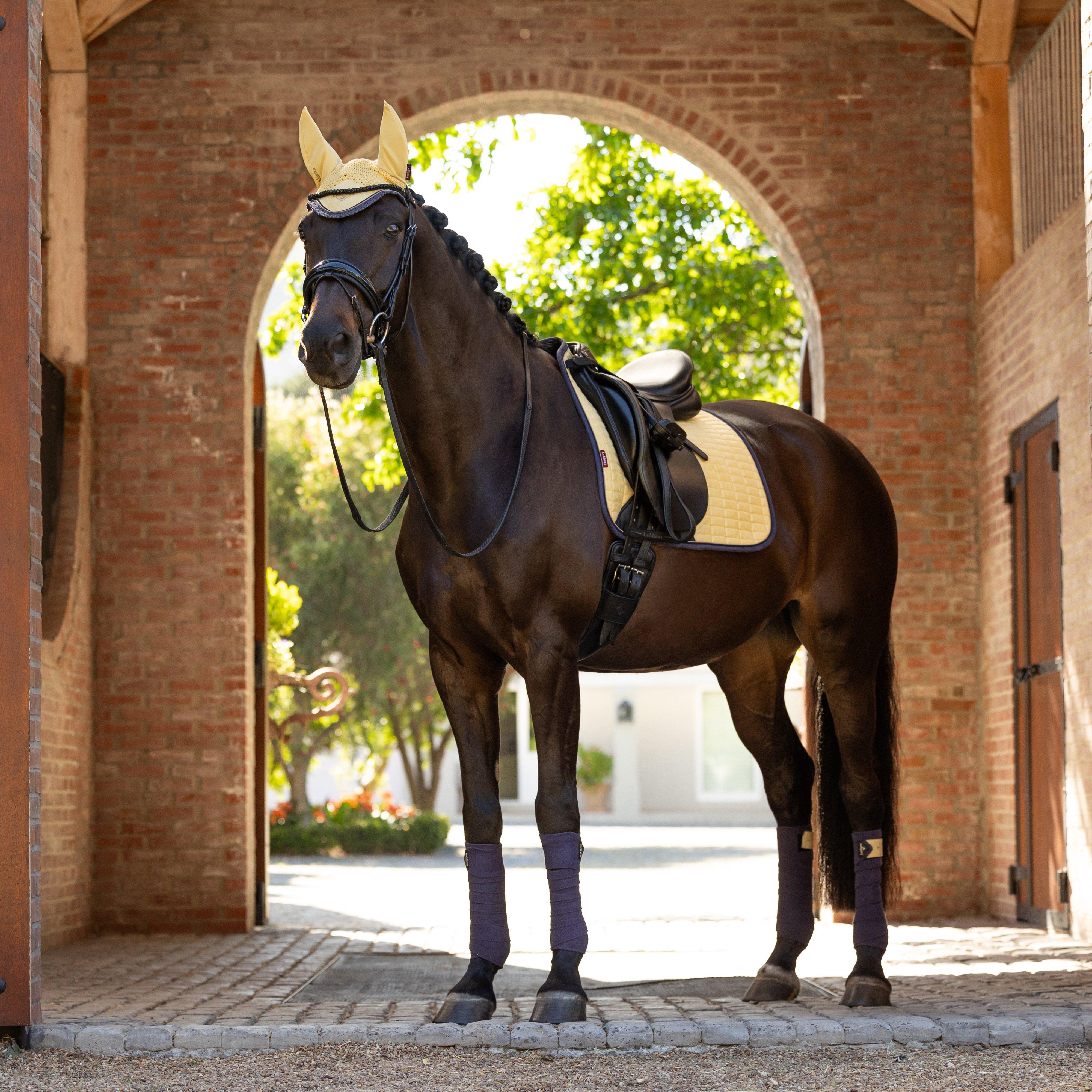 Suede Dressage Saddle Pad Mimosa