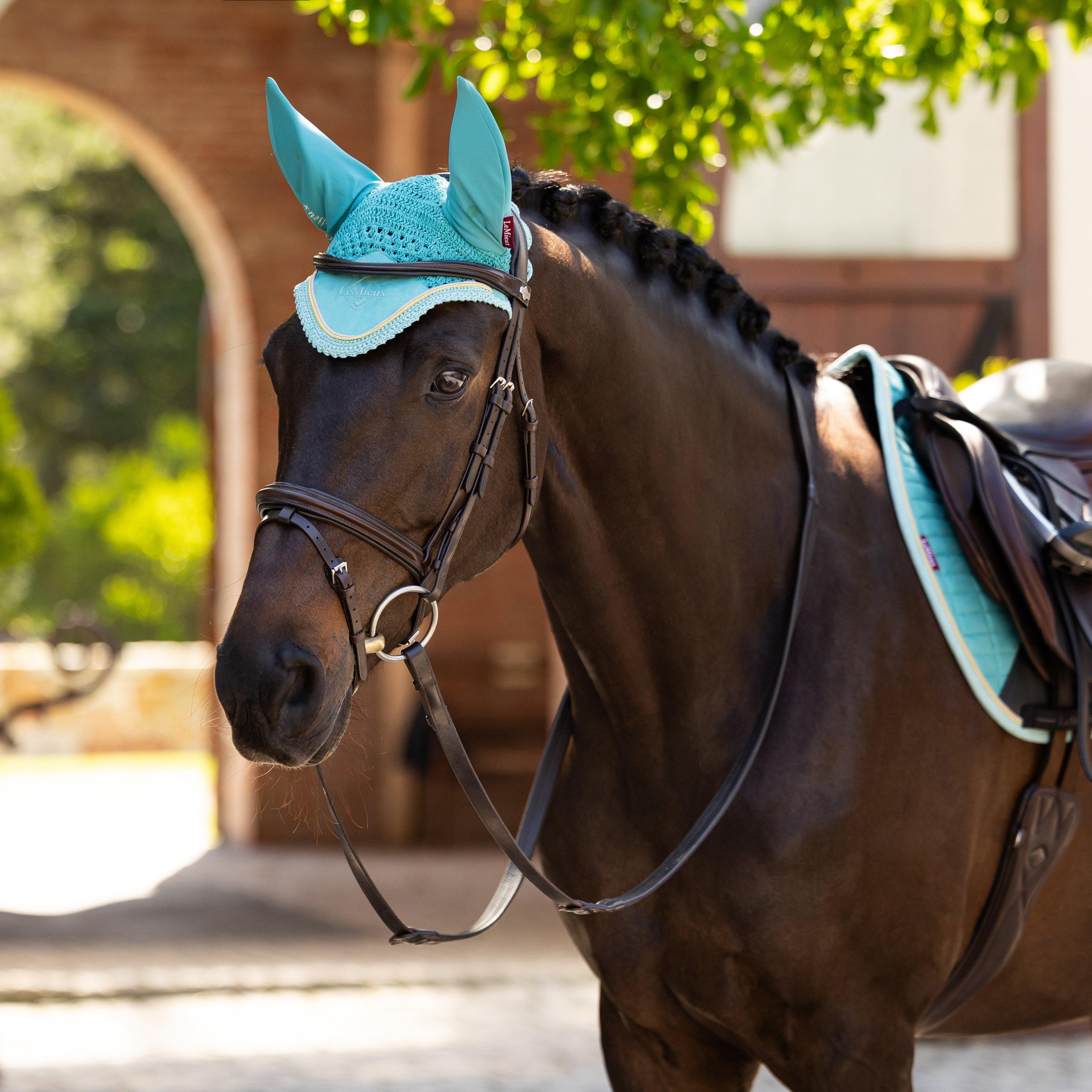 Classic Fly Hood Lagoon