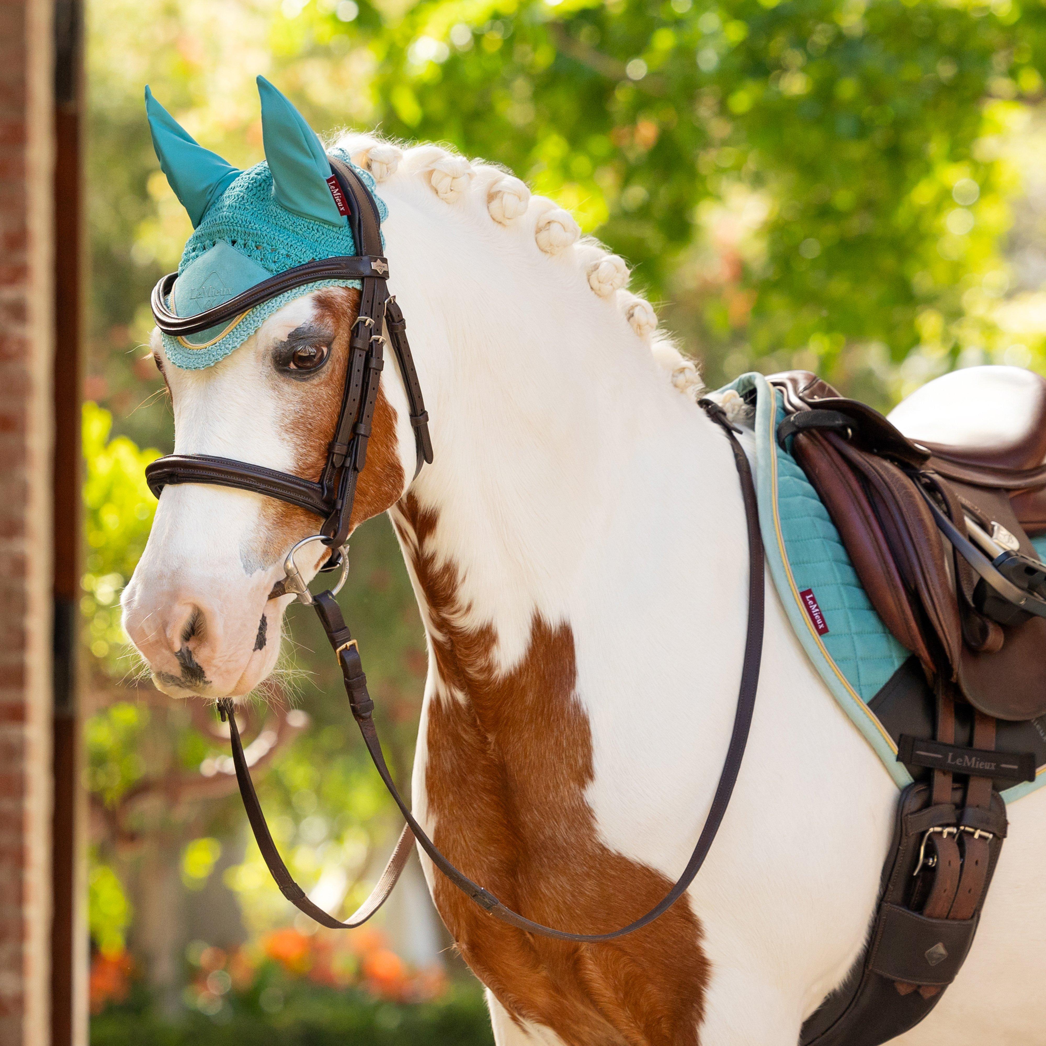 Mini Fly Hood Lagoon