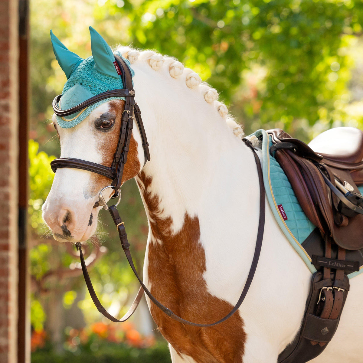 Mini Fly Hood Lagoon