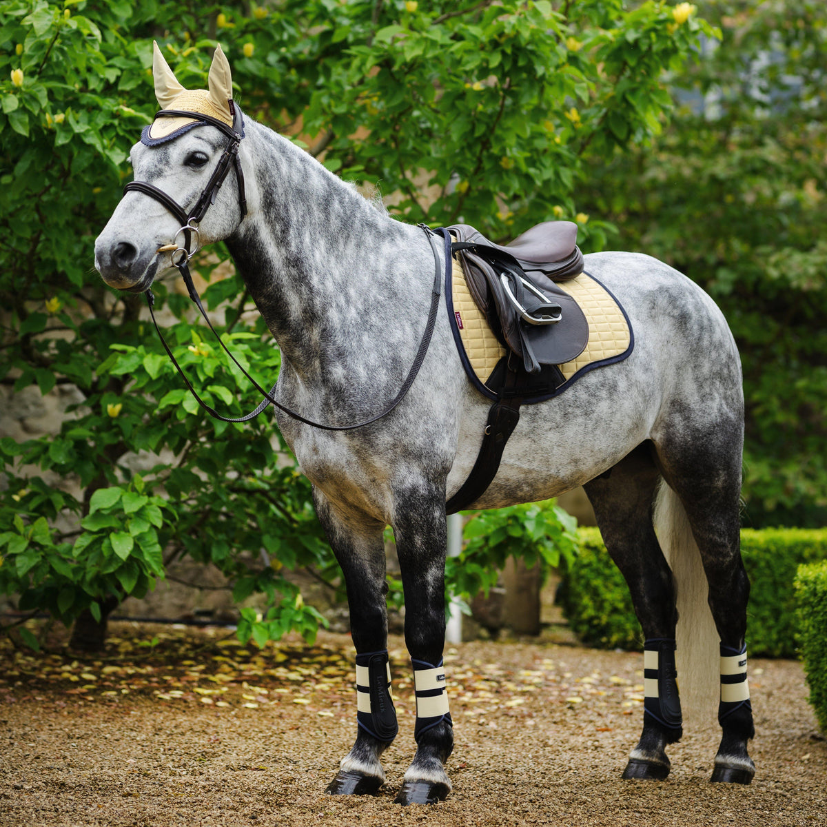 Mini Fly Hood Mimosa