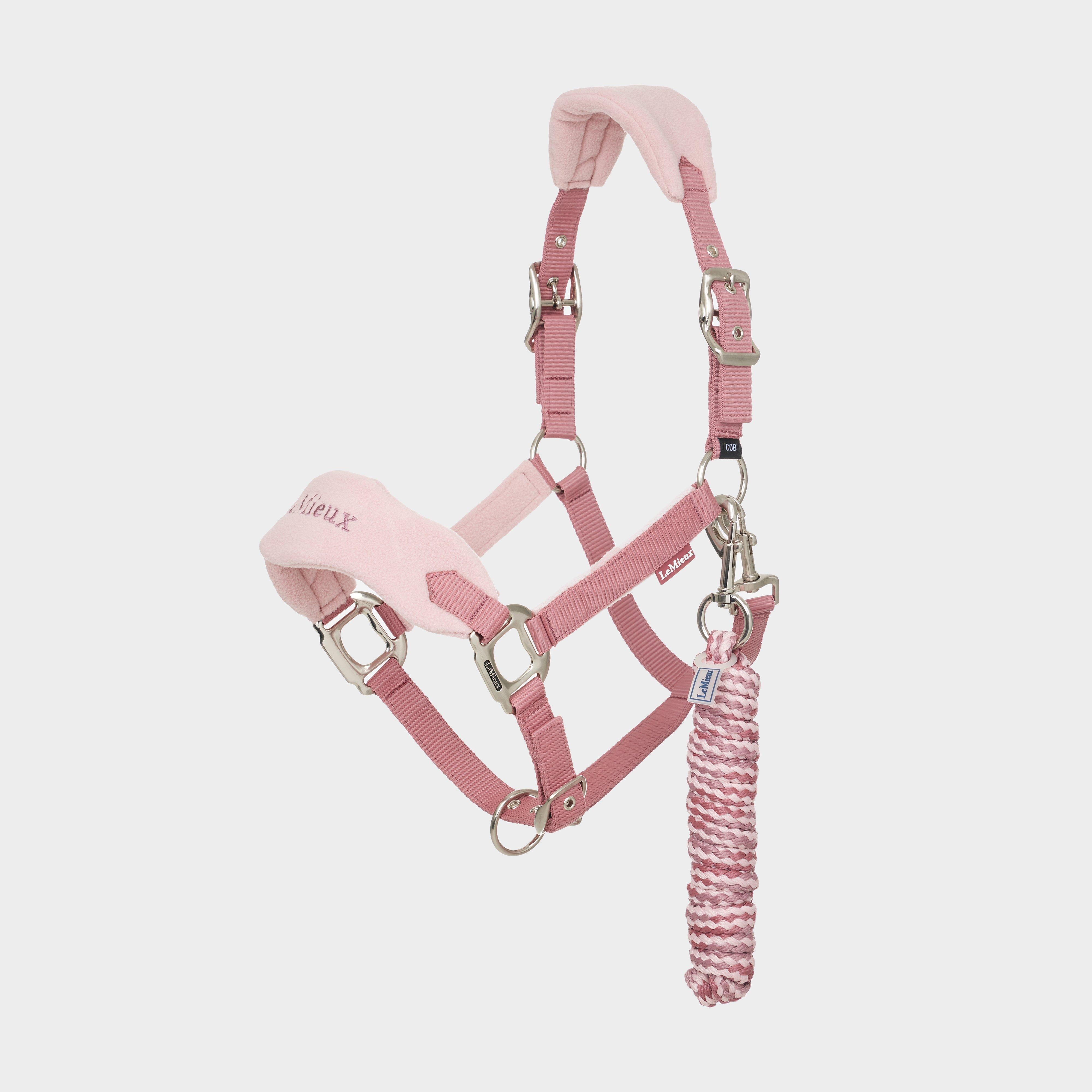 Vogue Headcollar & Leadrope Blossom