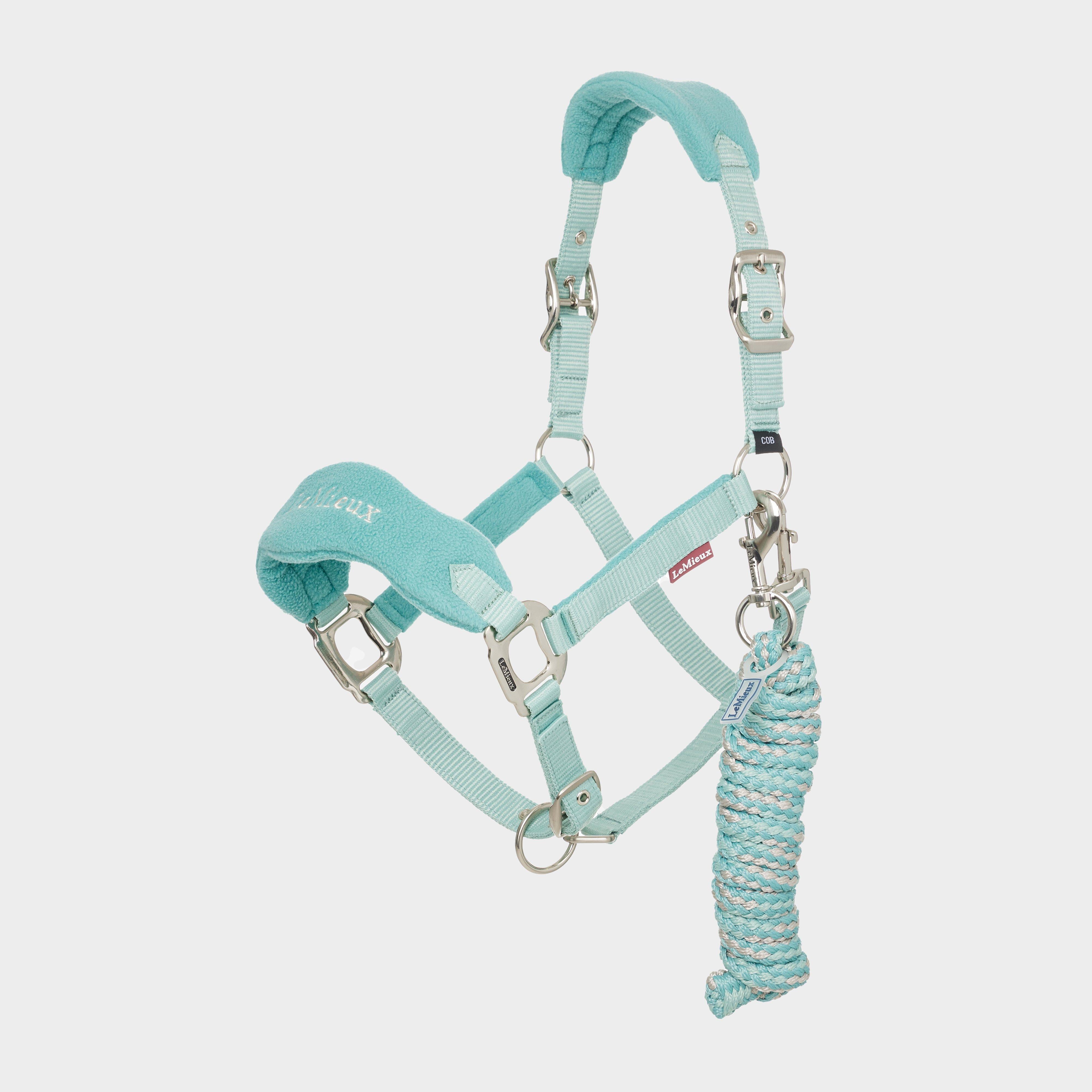 Vogue Headcollar & Leadrope Lagoon