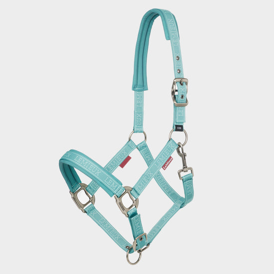 Logo Headcollar Lagoon