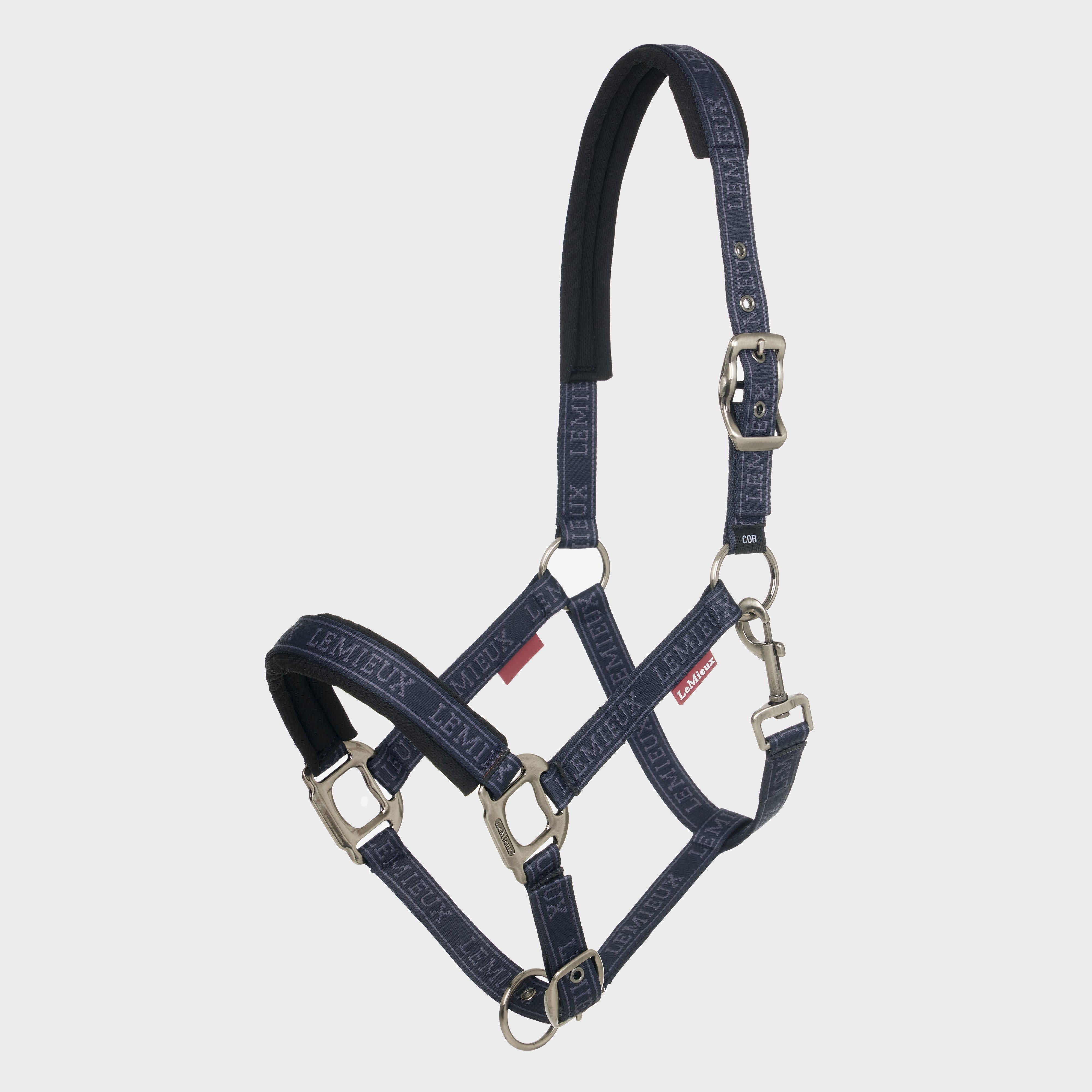 Logo Headcollar Navy