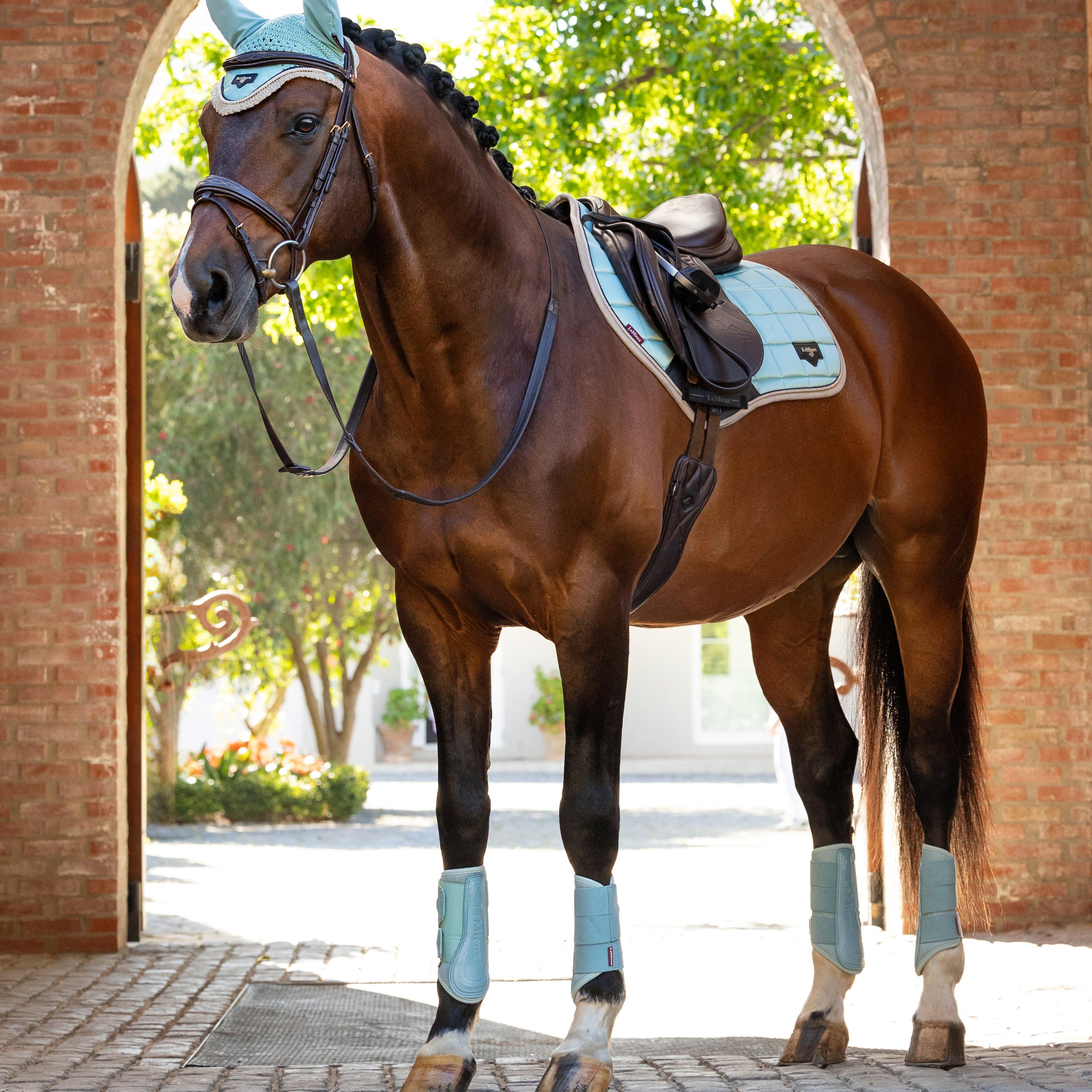 Arika Mesh Brushing Boots Aqua