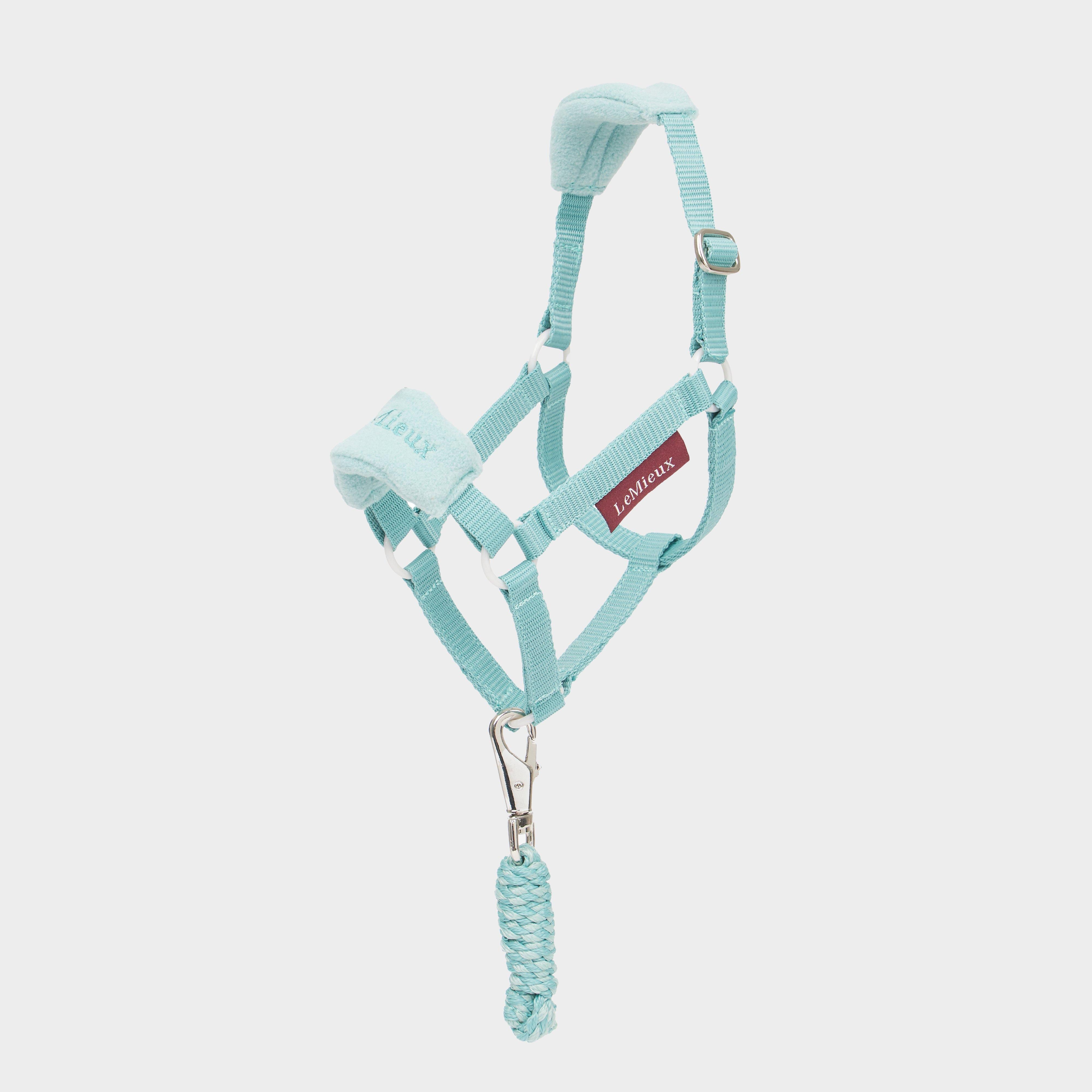 Hobby Horse Vogue Headcollar & Leadrope Lagoon
