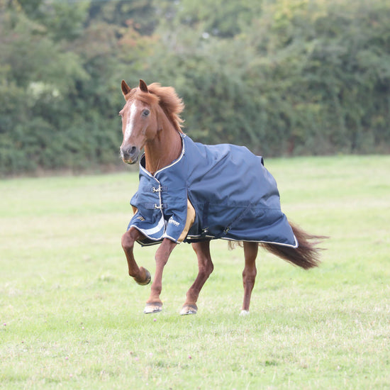 Highlander Plus Lite 0g Standard Neck Turnout Rug Navy