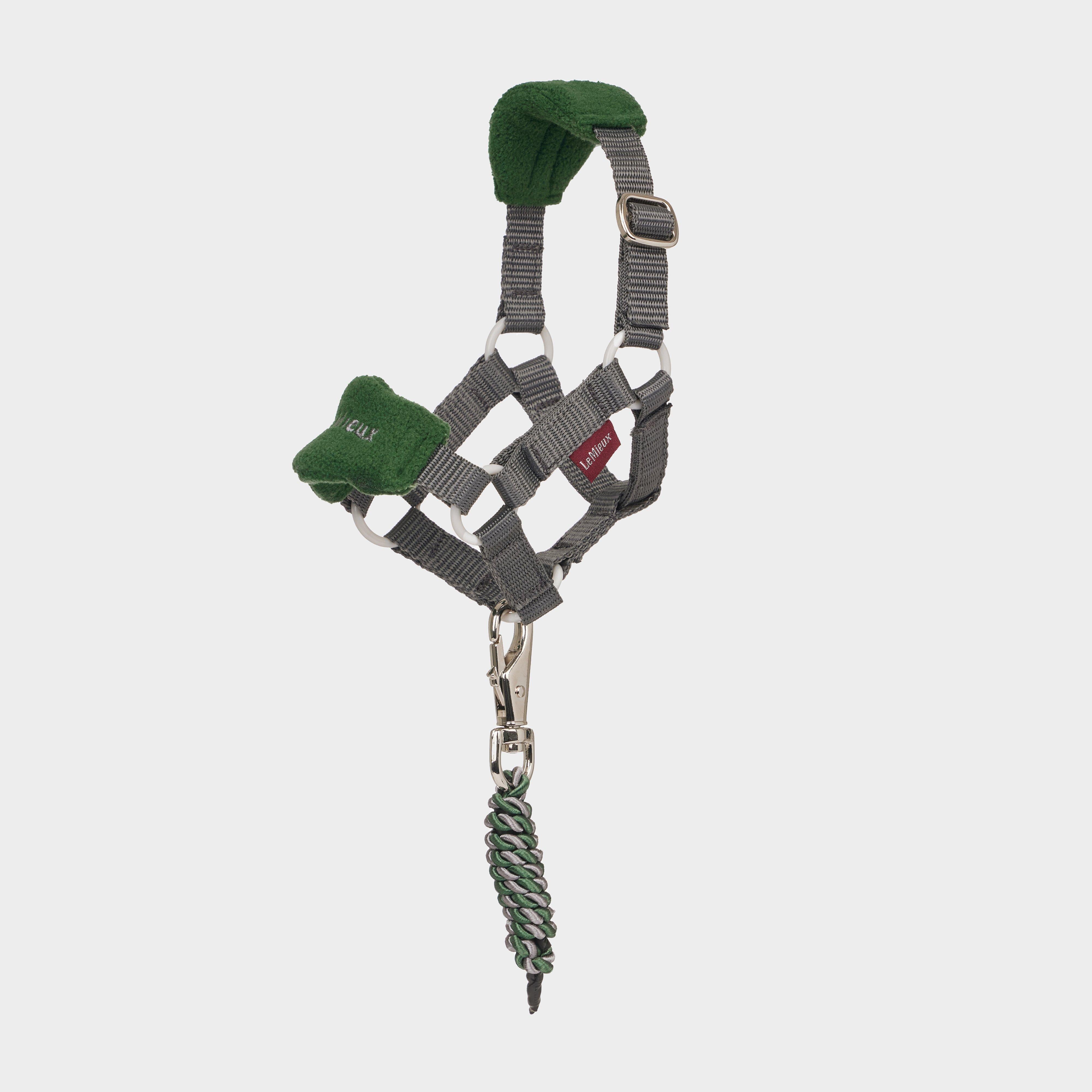 Toy Pony Vogue Headcollar & Leadrope Hunter Green