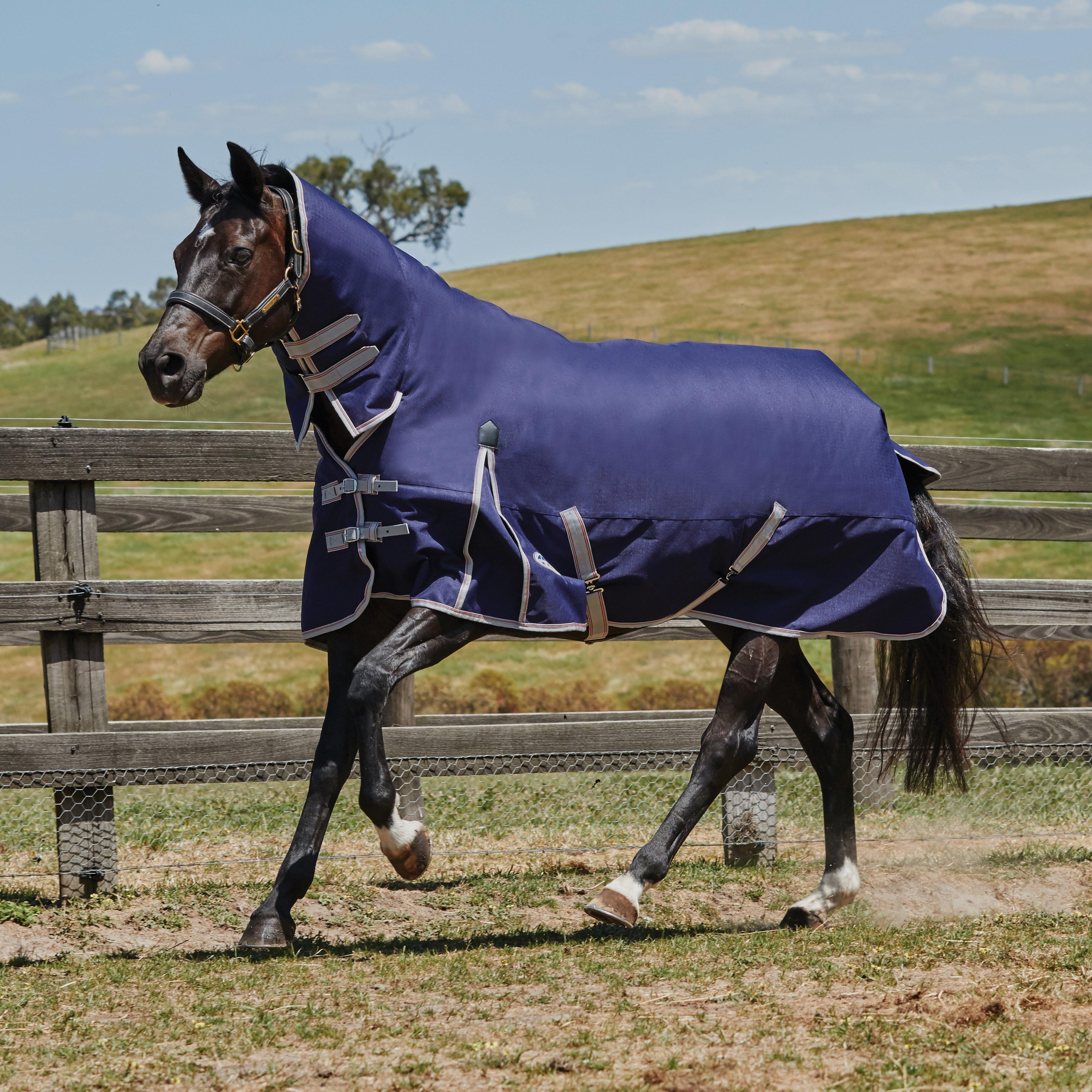 ComFiTec Essential Combo Neck Lite Plus 50g Turnout Rug Navy/Silver/Red