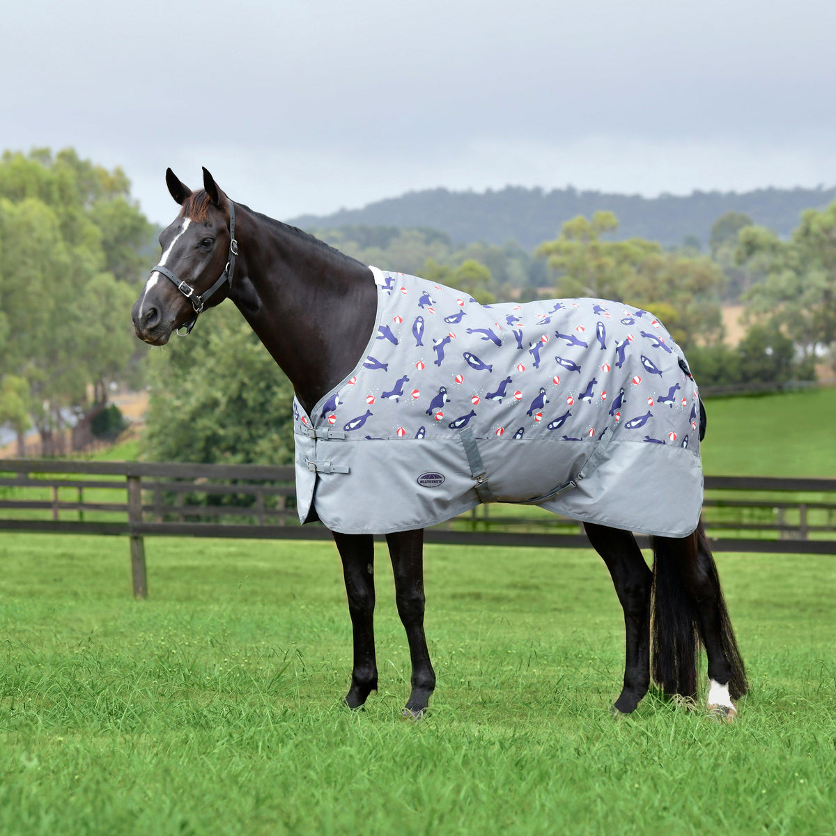 ComFiTec Tyro Standard Neck 50g Lite Plus Turnout Rug Seal Print