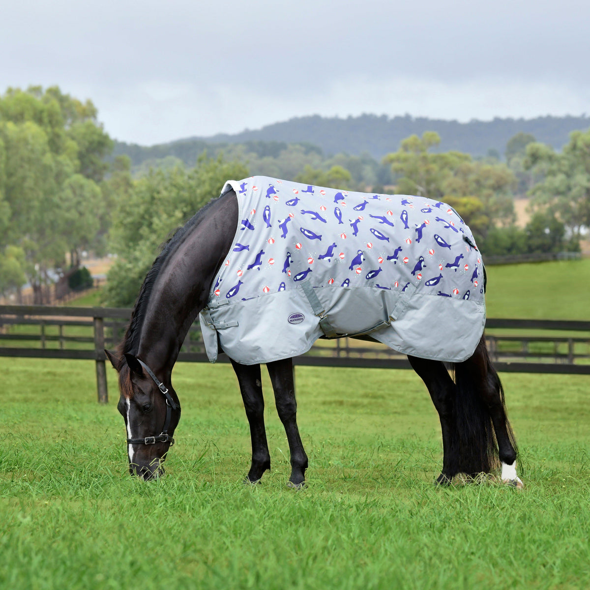 ComFiTec Tyro Standard Neck 50g Lite Plus Turnout Rug Seal Print