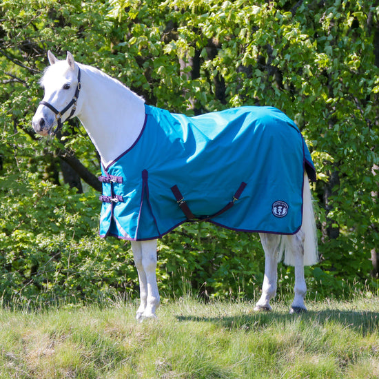 Original Lite 0g Standard Neck Turnout Rug Ocean