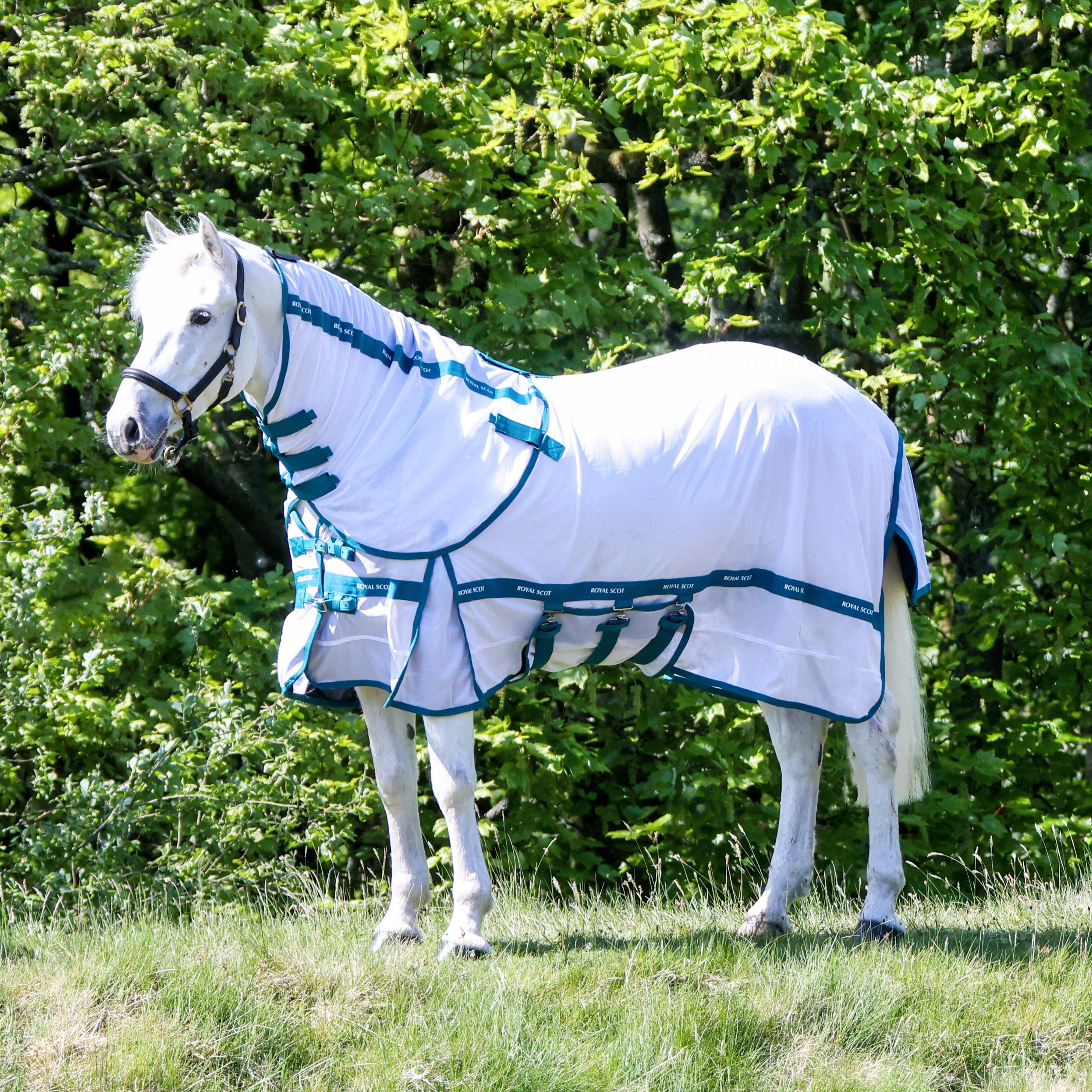 Original Fly Rug White/Ocean