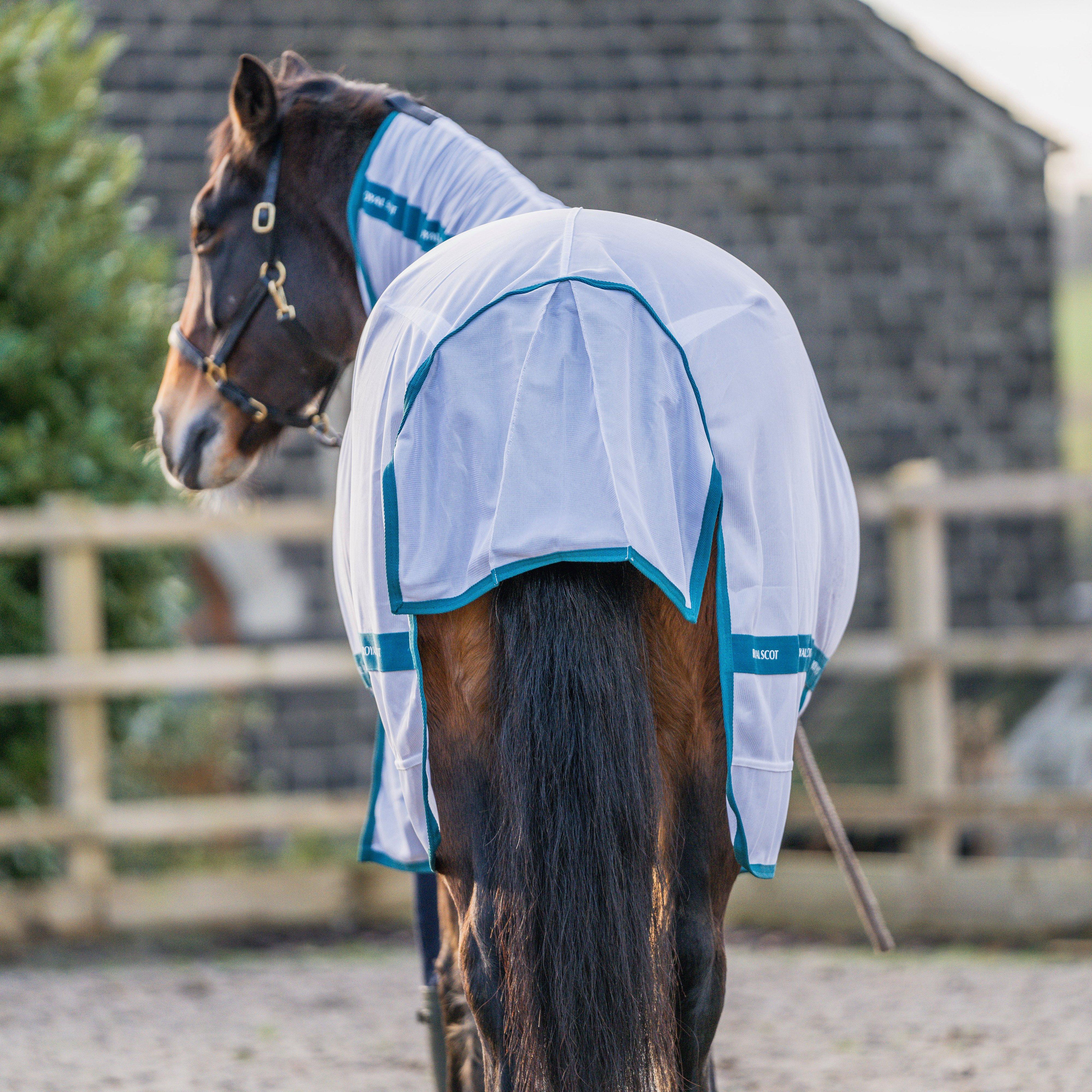 Original Fly Rug White/Ocean