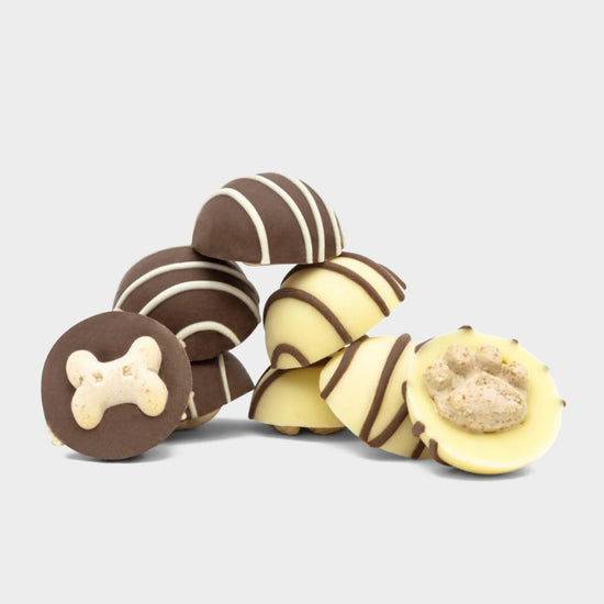 Ruffingtons Terrier Truffles
