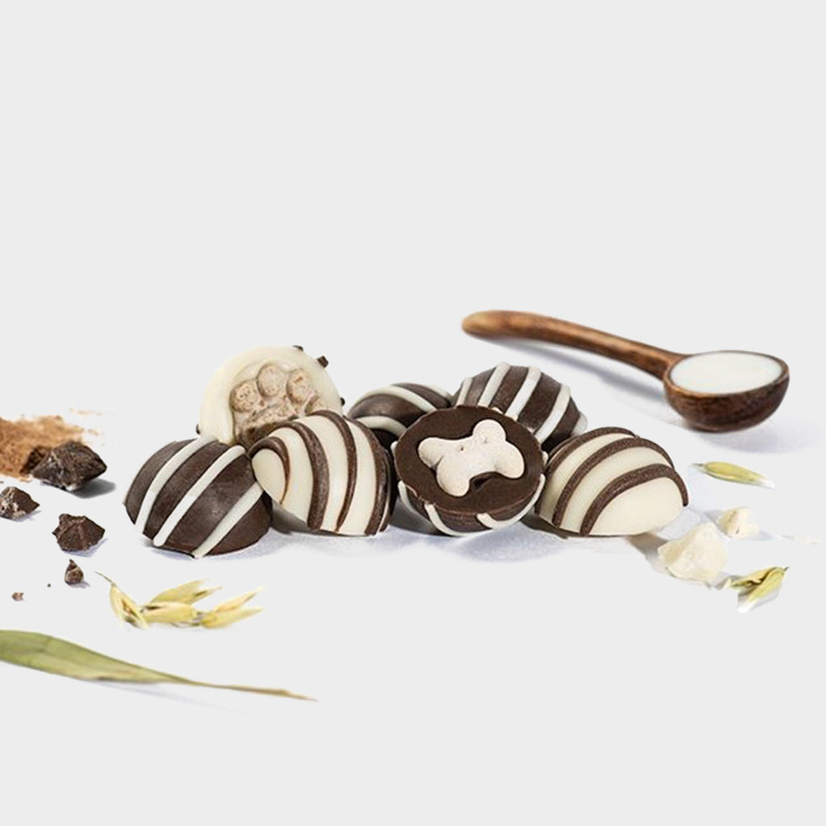 Ruffingtons Terrier Truffles