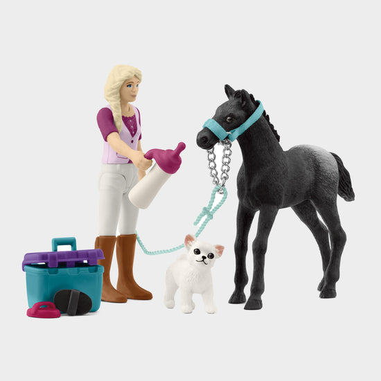 Horse Grooming Playset with Appaloosa Foal