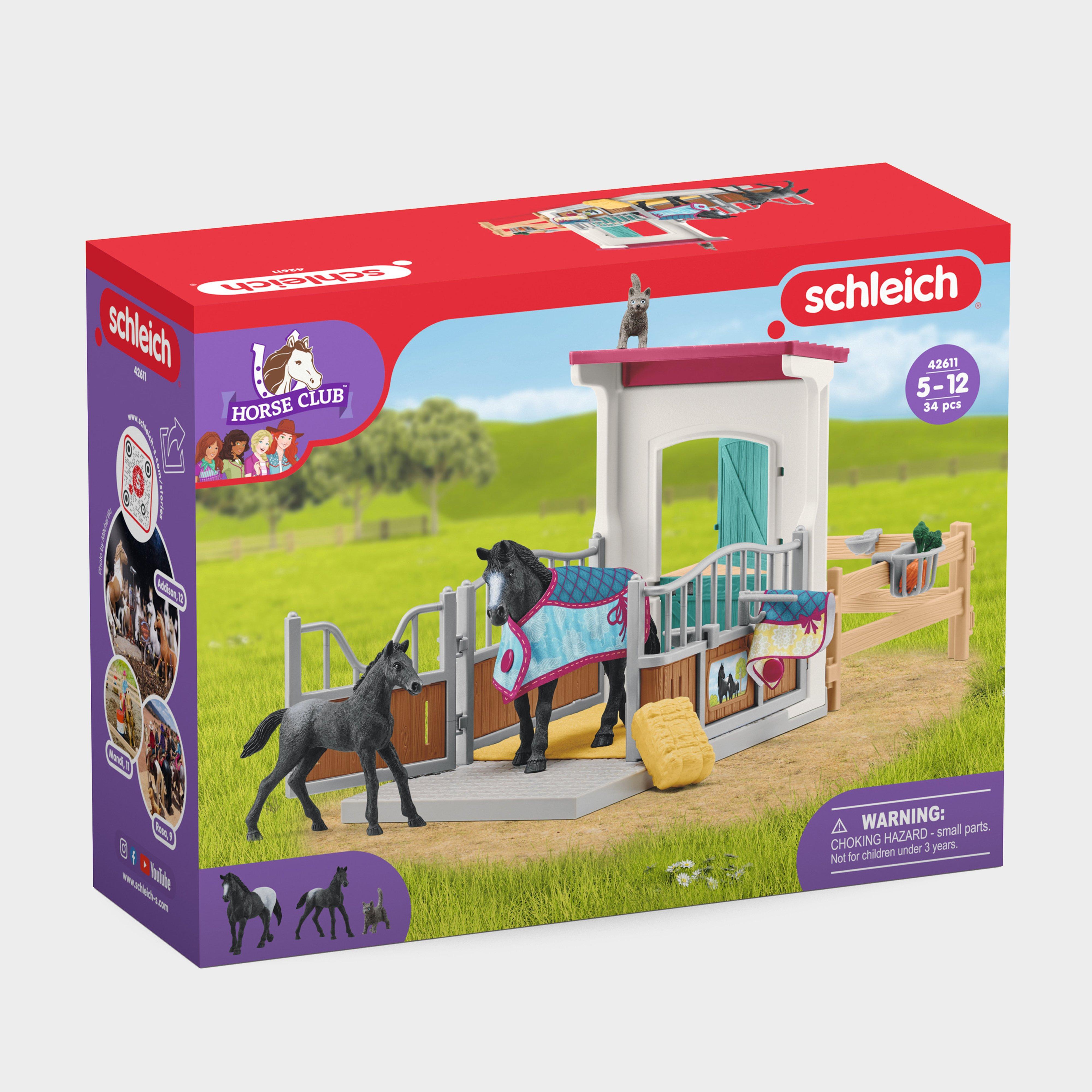 Horse Box with Mare and Foal