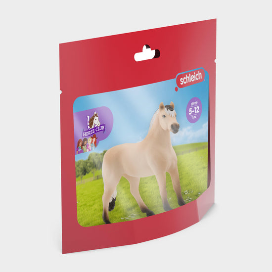 Norwegian Fjord Horse Gelding