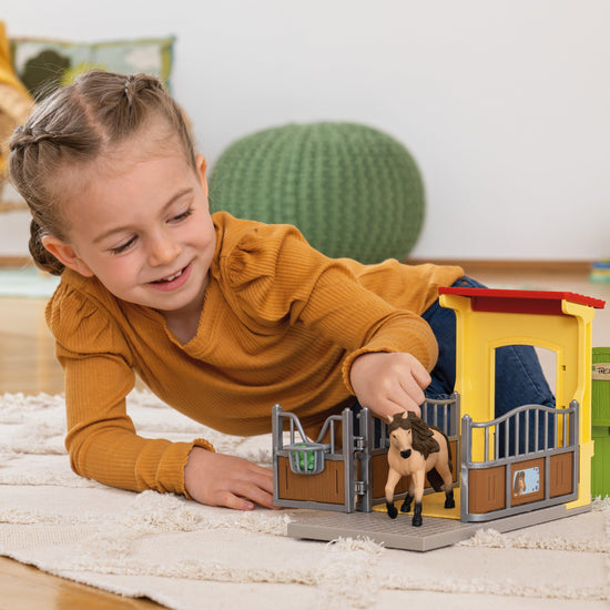 Pony Box with Iceland Pony Stallion