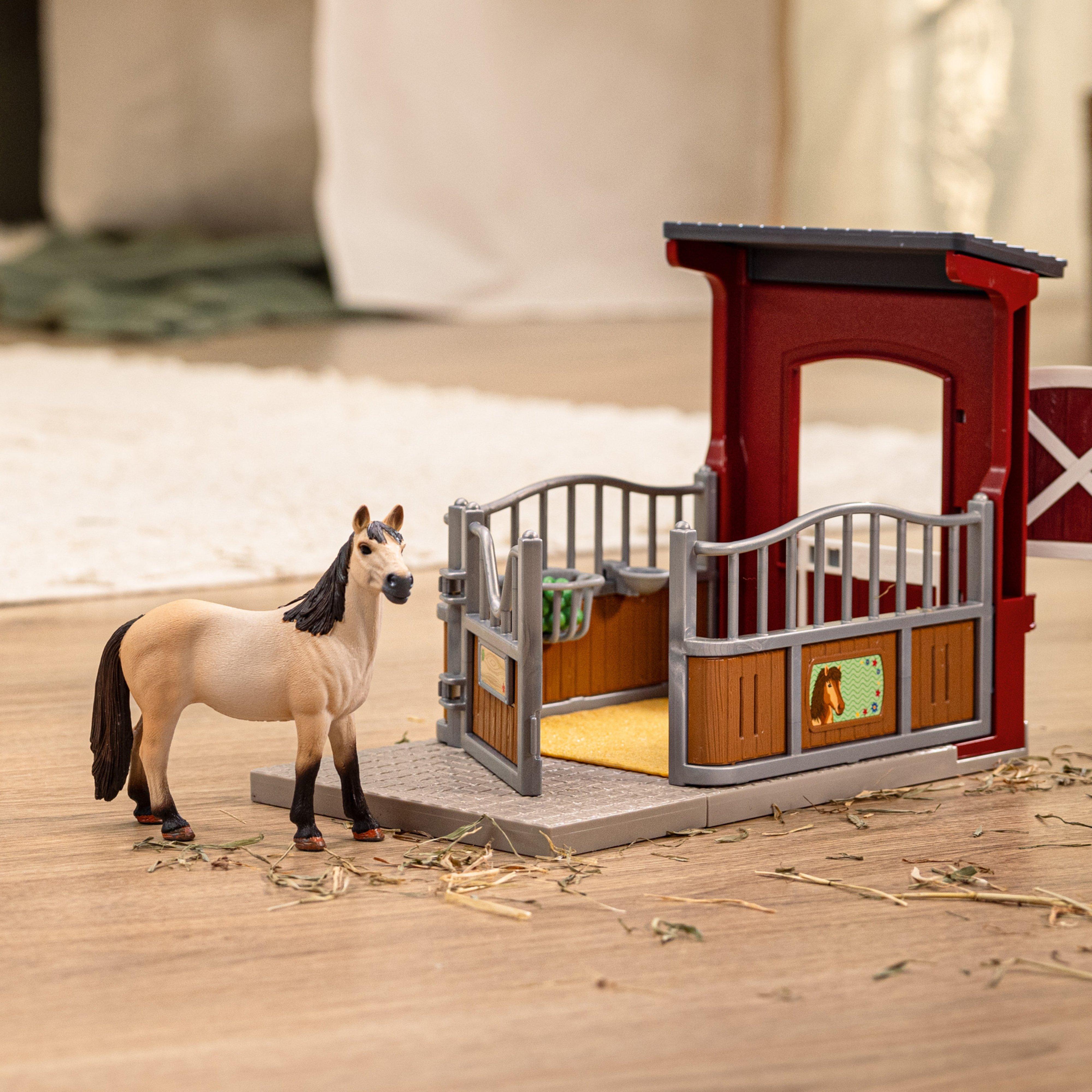 Pony Box with Mustang Mare