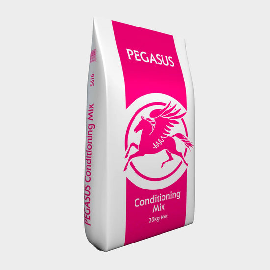 Pegasus Conditioning Mix 20kg Pink