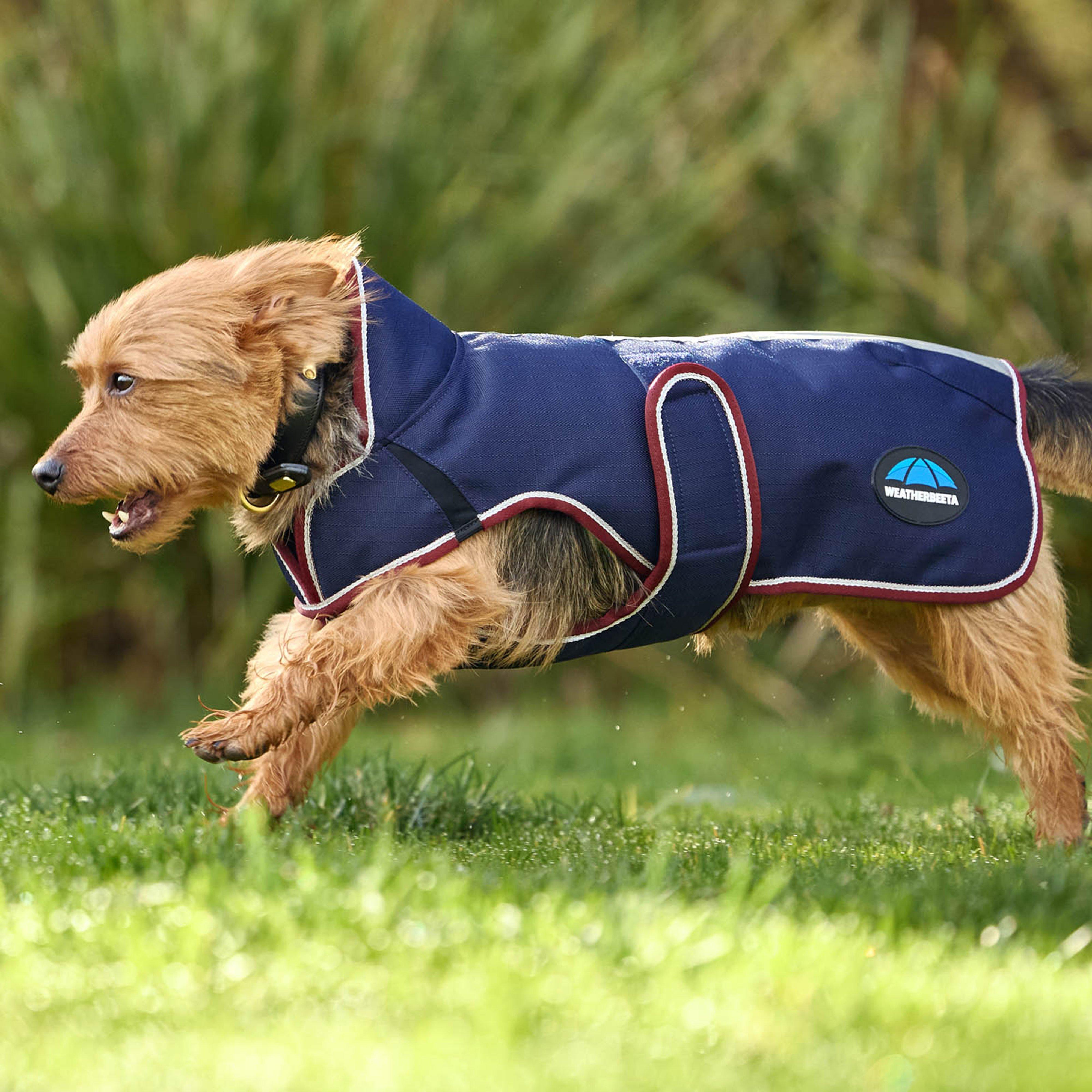 ComFiTec Premier Deluxe Waterproof Dog Coat