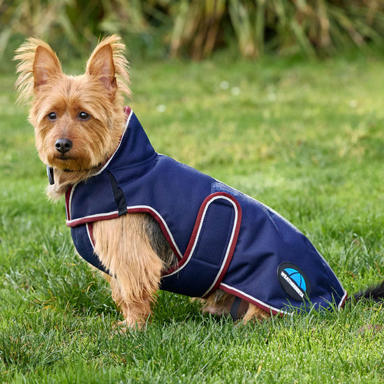 ComFiTec Premier Deluxe Waterproof Dog Coat