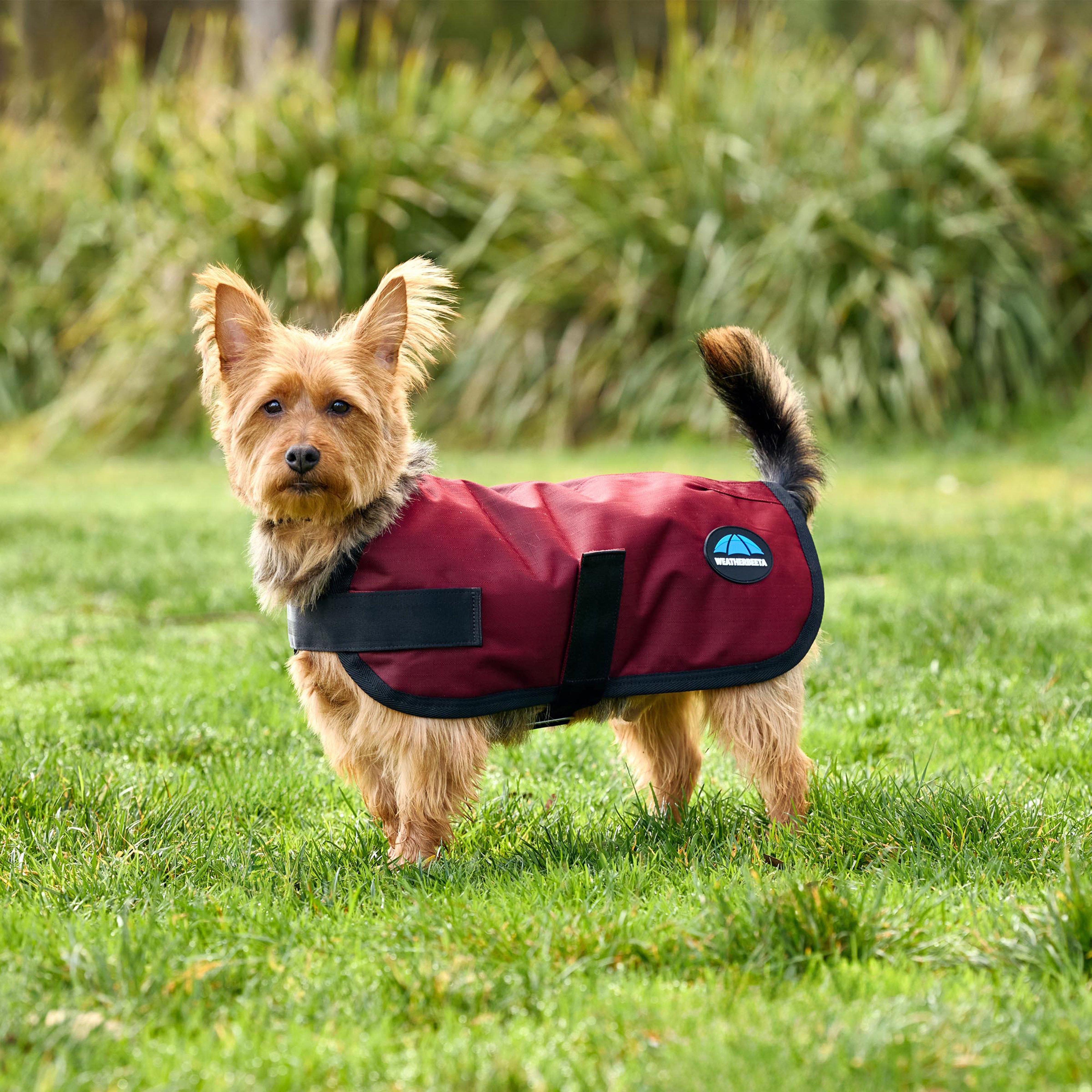 ComFiTec Classic Waterproof Dog Coat Burgundy