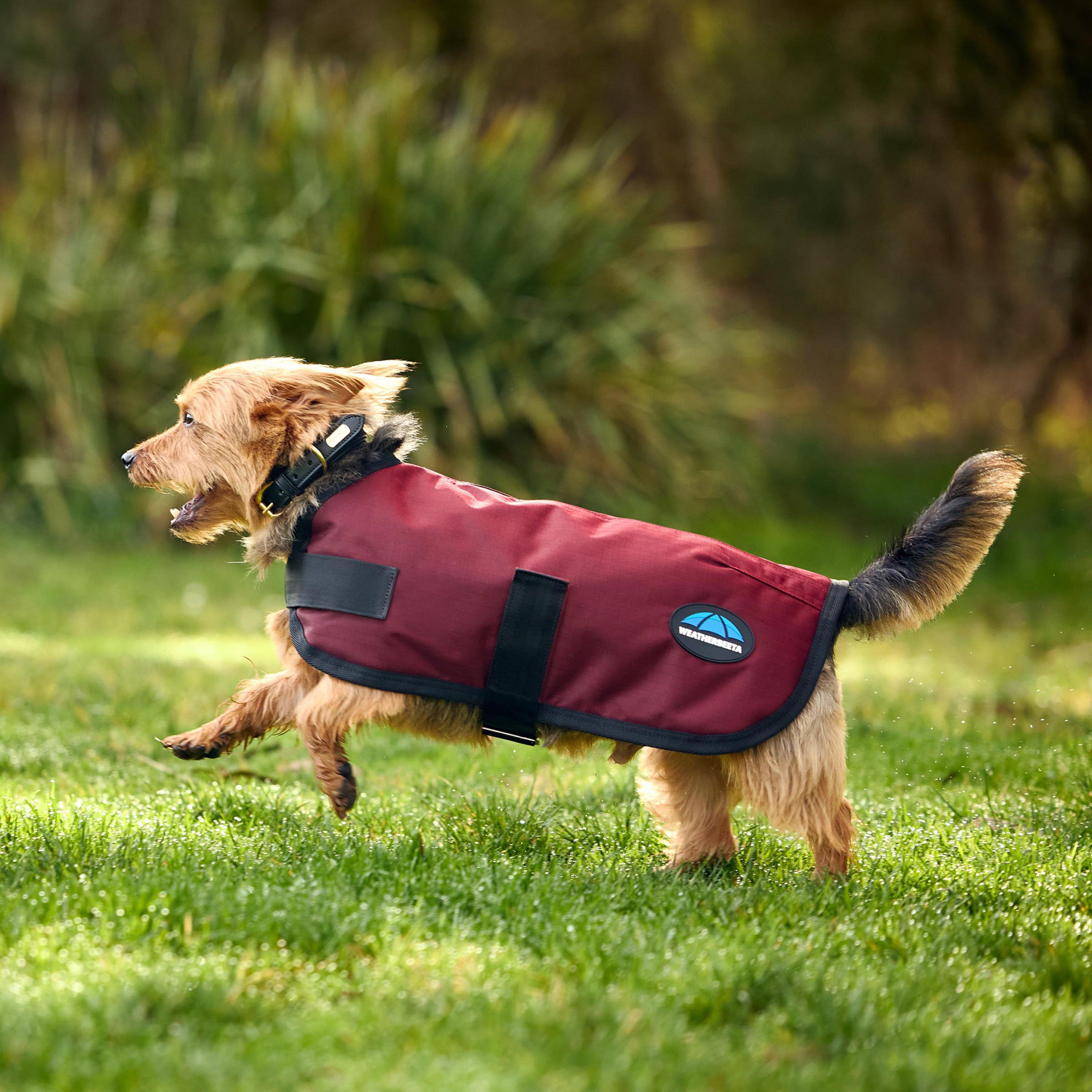 ComFiTec Classic Waterproof Dog Coat Burgundy