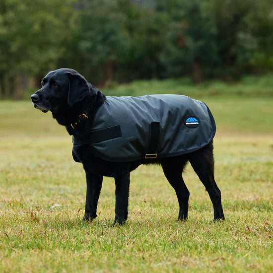 ComFiTec Classic Waterproof Dog Coat Charcoal