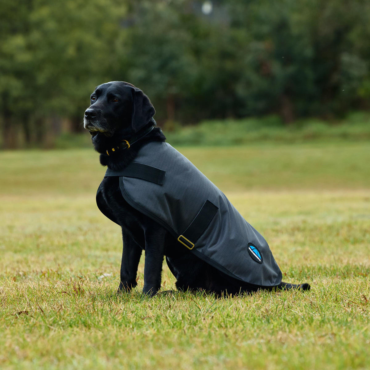 ComFiTec Classic Waterproof Dog Coat Charcoal