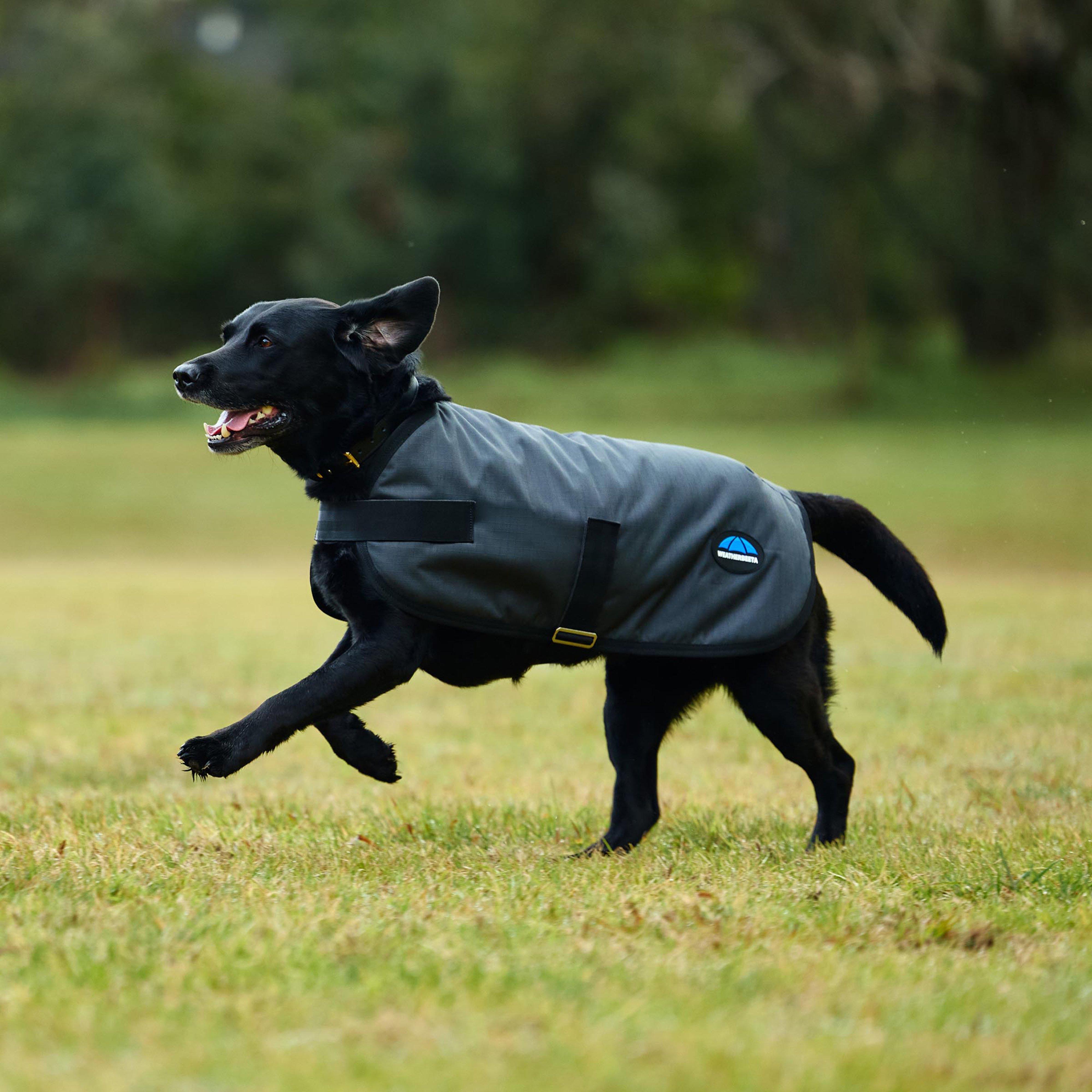 ComFiTec Classic Waterproof Dog Coat Charcoal