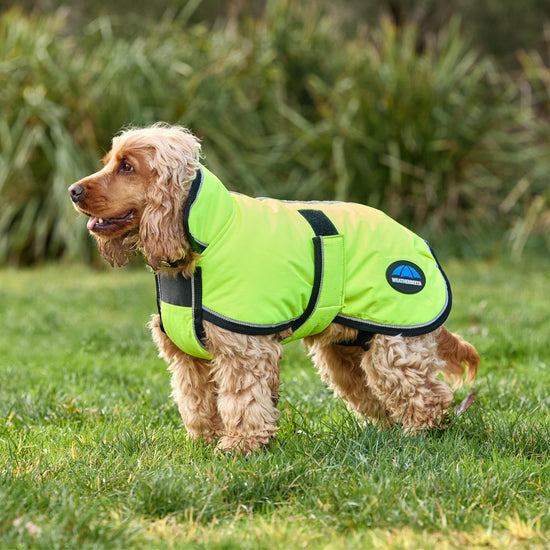 ComFiTec Classic Waterproof Dog Coat