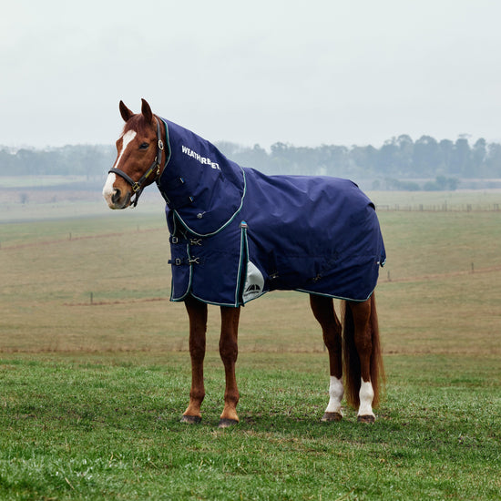 ComFiTec Plus Dynamic II Detach-A-Neck Mediumweight 220g Turnout Rug Navy