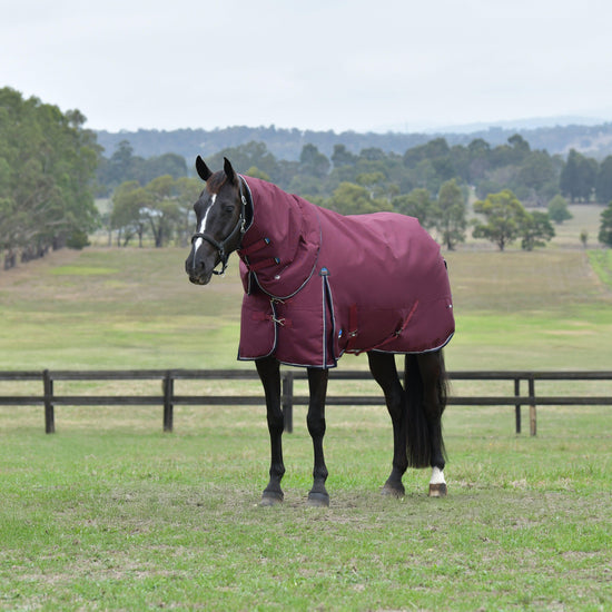 ComFiTec Essential Detach-A-Neck 220g Turnout Rug Burgundy