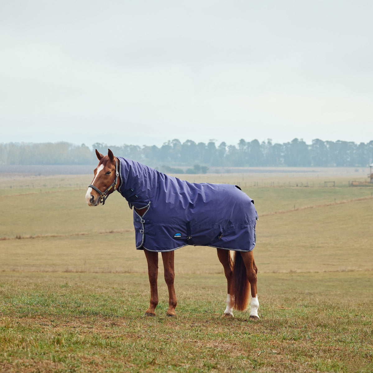 ComFiTec Tyro Combo Neck 50g Lite Plus Turnout Rug Navy