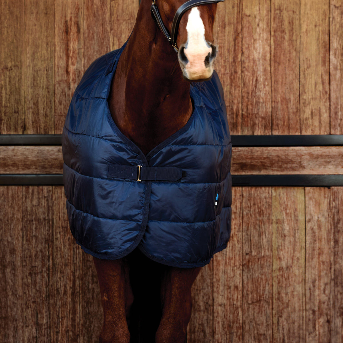 ComFiTec Standard Liner 50g Navy