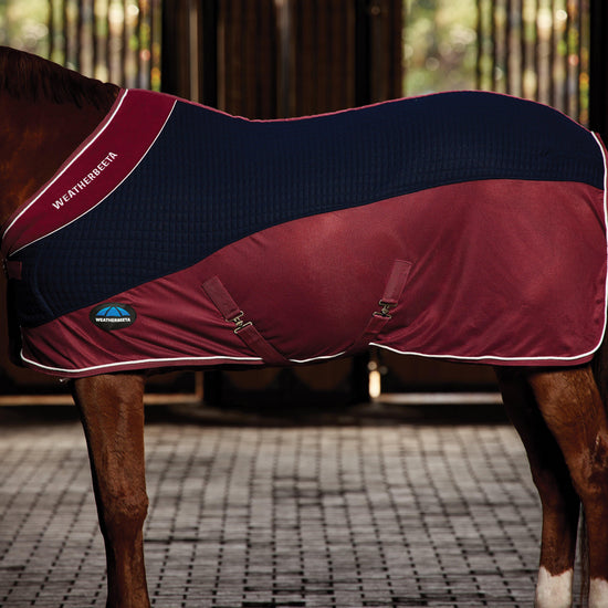 Thermo-Air Cooler Standard Neck Navy