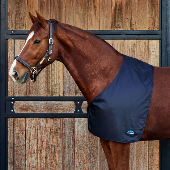 Satin Shoulder Guard Black