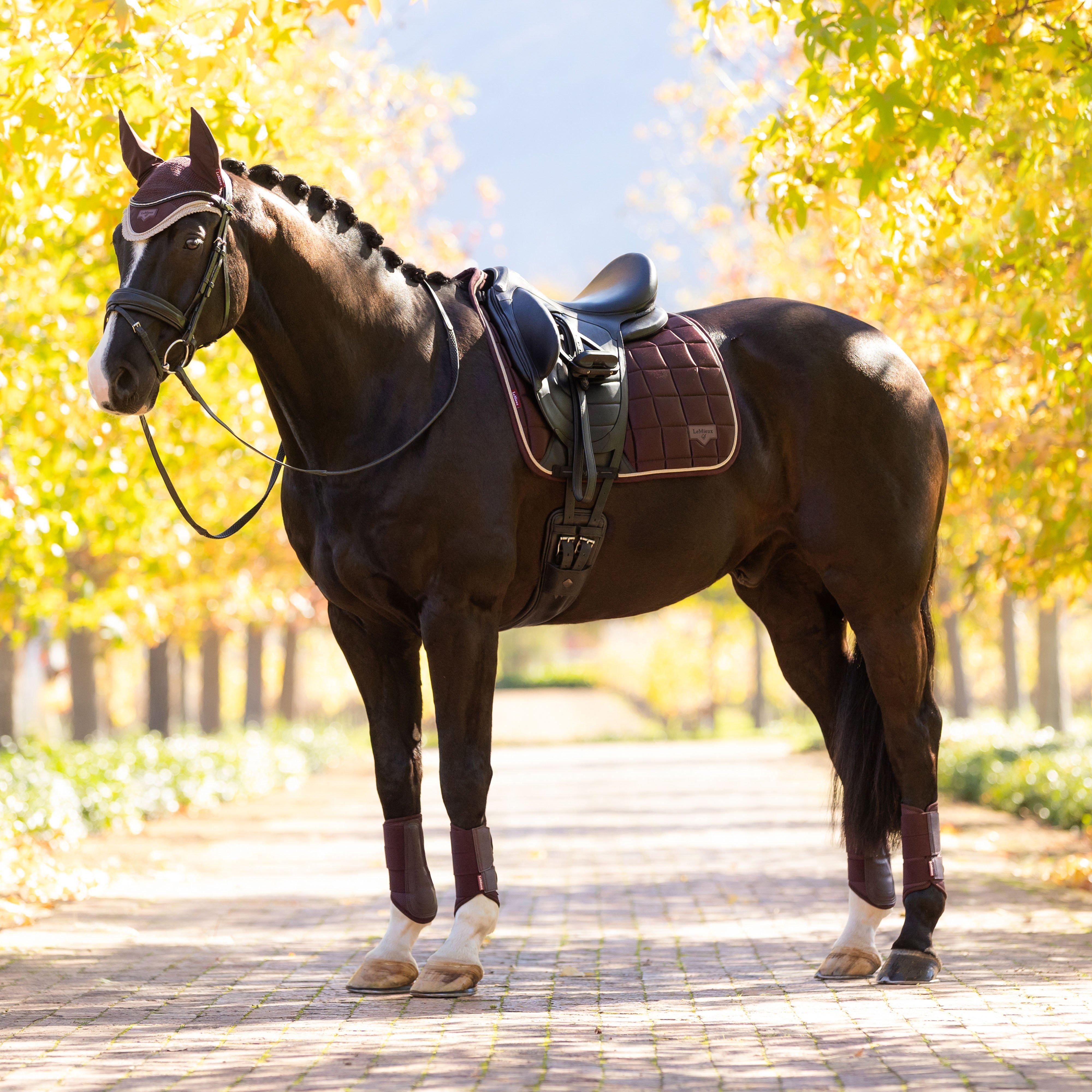 Loire Dressage Saddle Pad Damson