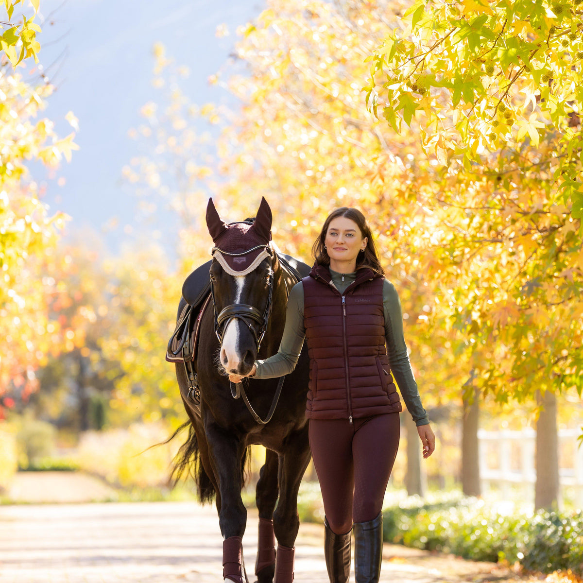 Loire Fly Hood Damson