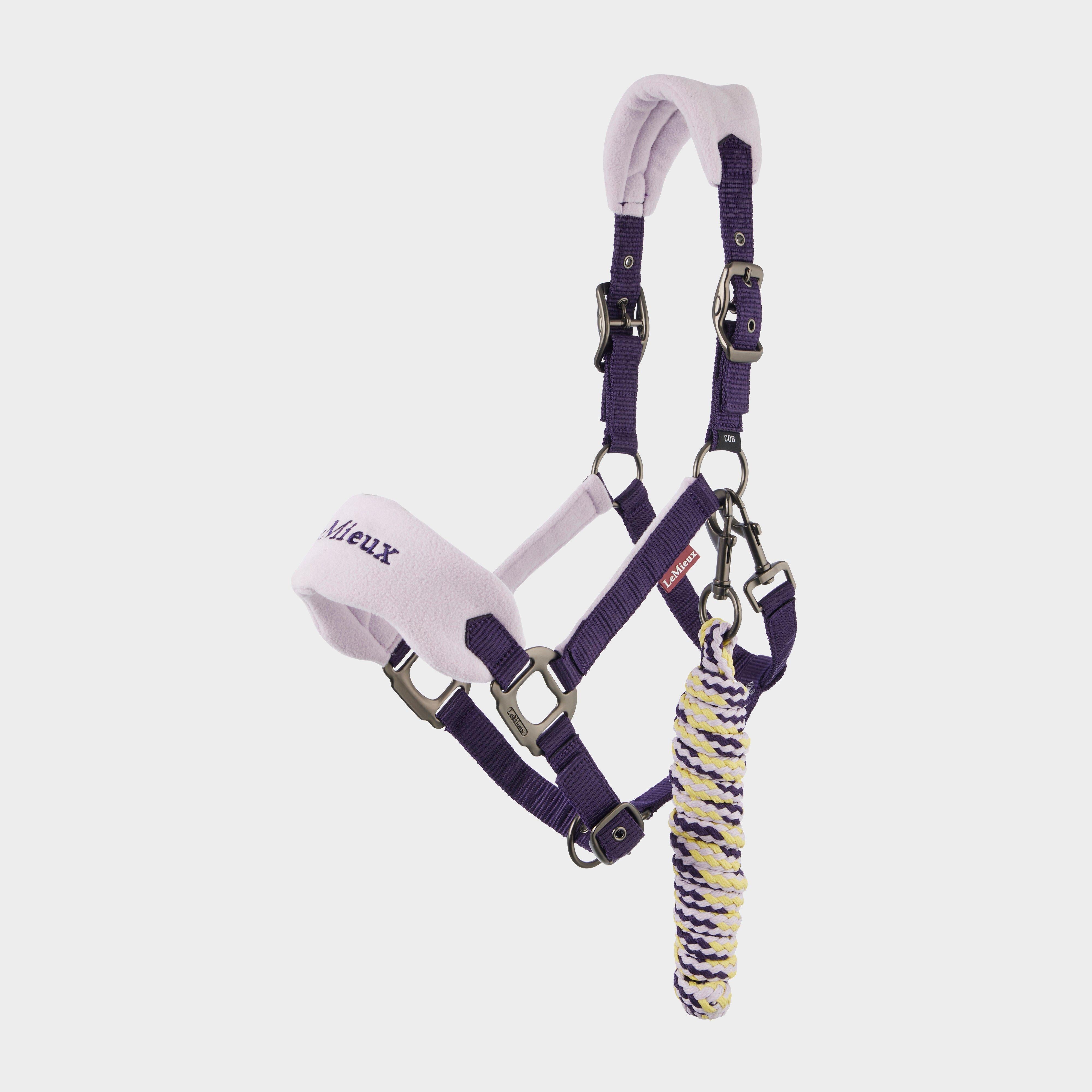 Vogue Headcollar & Leadrope Damson