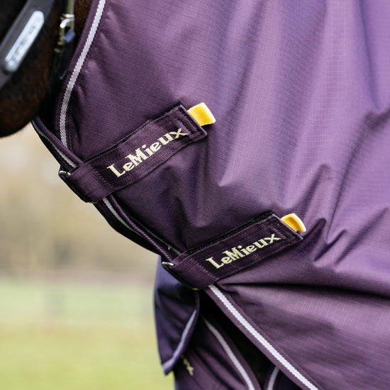 Arika Ripstop Turnout Rug 100g Juniper