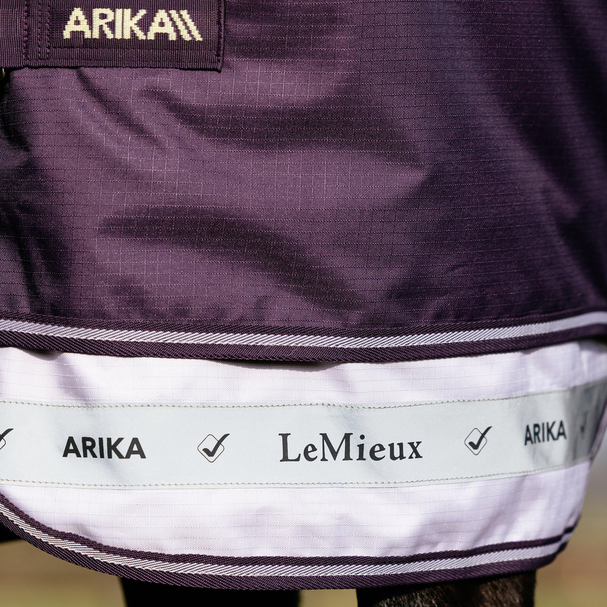 Arika Ripstop Turnout Rug 100g Juniper