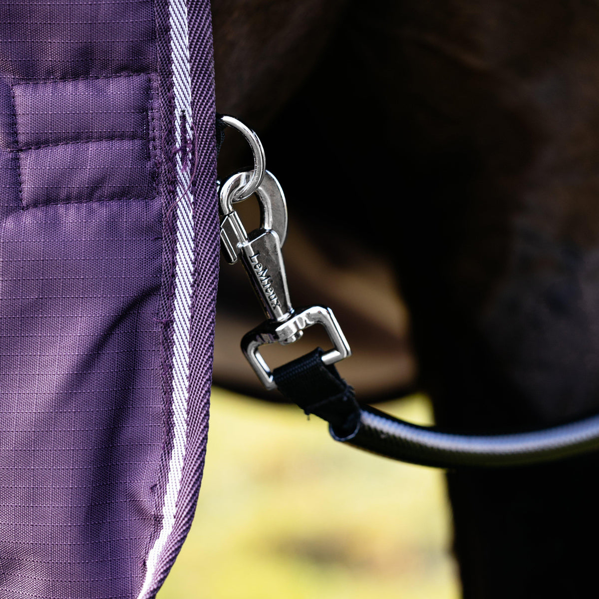 Arika Ripstop Turnout Rug 100g Juniper